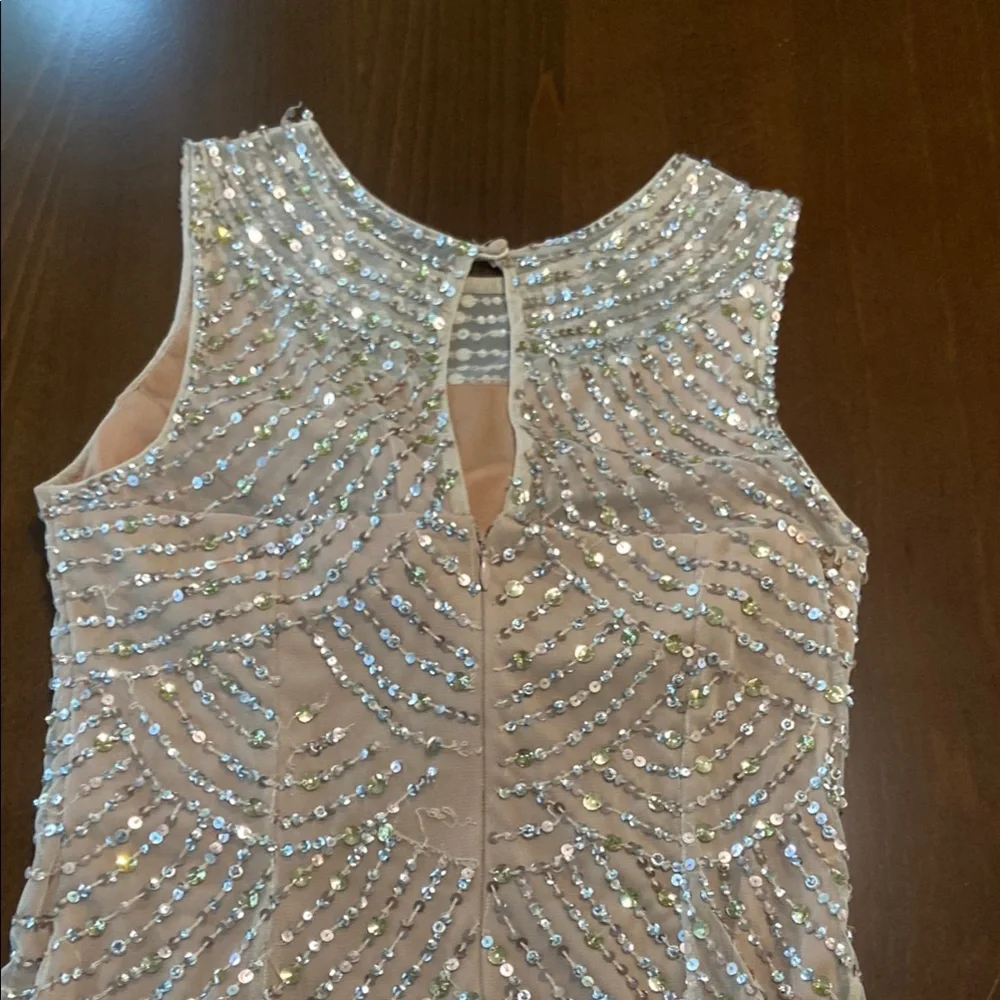 Elegant Sequined Dress in Champagne Gold - Picture 5 of 14